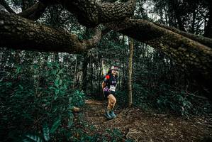 BIB: 
                            <button type="button" onclick="openModal(25705344)" class="btn btn-primary btn-sm float-right btn-popup" data-toggle="modal" data-target=".modal-high-quality">
                        <i class="fas fa-shopping-cart"></i> Add to Cart
                    </button>
                                            <button type="button" onclick="isThisMe(25705344, true)" class="btn btn-success btn-sm float-right btn-popup btn-isme hidden" data-toggle="tooltip" data-placement="bottom" title="นี่คือรูปของคุณใช่ไหม คลิกที่นี่เพื่อเอาเข้าอัลบั้ม">
                        <i class="fas fa-plus"></i> Add to album
                    </button>
                    <button type="button" onclick="isThisMe(25705344, false)" class="btn btn-warning btn-sm float-right btn-popup btn-isnotme hidden">
                        <i class="fas fa-ban"></i> Remove from album
                    </button>